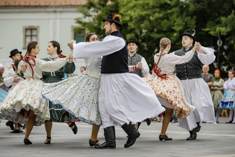 Az idei Szederinda rendezvény felejthetetlen élményeket nyújtott. Az EgerHírek tudósítása szerint a programok gazdag választéka és a barátságos hangulat minden látogatót magával ragadott. Az esemény különlegessége a helyi közösség összefogása és a kultúra